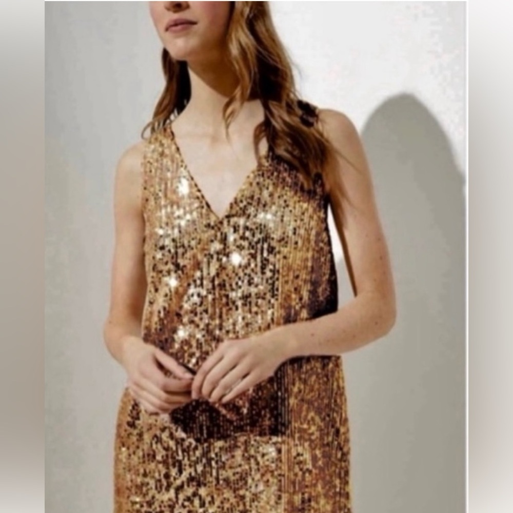 LOFT Gold Sequin Golden Beauty V-Neck Mini Dress - Picture 3 of 3